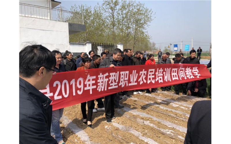 山東臨沭東泰機械助力江蘇省泗洪縣2019年花生產業(yè)發(fā)展,！